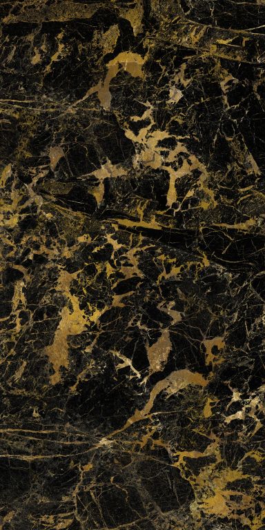 BLACK GOLD 1 sb doradoluz 1