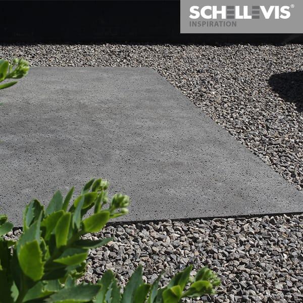 Schellevis logo