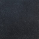 Stone Special Pacific Vintage nieuw
