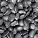 Beach pebbles